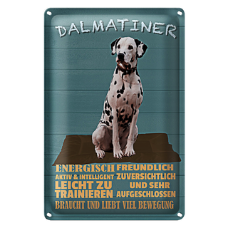 Blechschild Spruch 20x30cm Dalmatiner Hund energisch aktiv