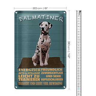 Blechschild Spruch 20x30cm Dalmatiner Hund energisch aktiv