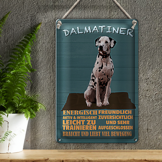 Blechschild Spruch 20x30cm Dalmatiner Hund energisch aktiv