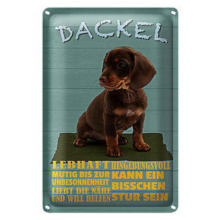 Blechschild Spruch 20x30cm Dackel Hund lebhaft mutig stur