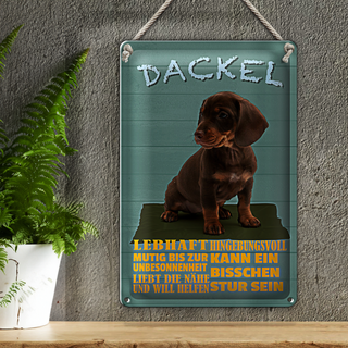 Blechschild Spruch 20x30cm Dackel Hund lebhaft mutig stur