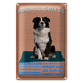 Blechschild Spruch 20x30cm Border Collie Hund intelligent