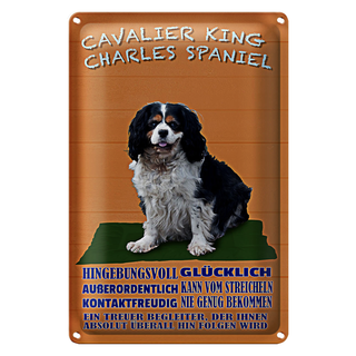 Blechschild Hund 20x30cm Cavalier King Charles Spaniel