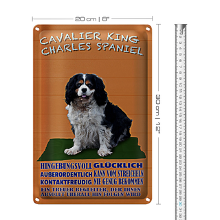 Blechschild Hund 20x30cm Cavalier King Charles Spaniel