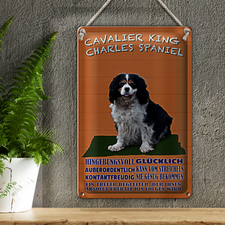 Blechschild Hund 20x30cm Cavalier King Charles Spaniel