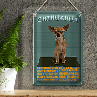 Blechschild Spruch 20x30cm Chihuahua Hund lebenslustig
