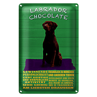 Blechschild Spruch 20x30cm Labrador Chocolate Hund German
