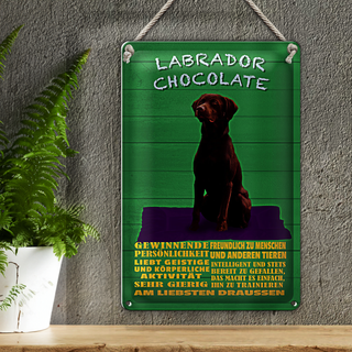 Blechschild Spruch 20x30cm Labrador Chocolate Hund German