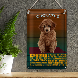 Blechschild Spruch 20x30cm Cockapoo Hund kleiner Clown