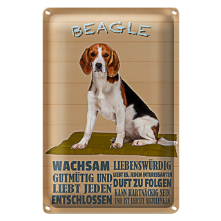 Blechschild Spruch 20x30cm Beagle Hund gutmütig liebt jeden