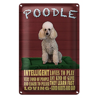 Blechschild Spruch 20x30cm Hund Poodle loves to play