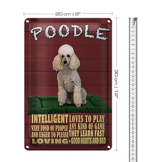 Blechschild Spruch 20x30cm Hund Poodle loves to play