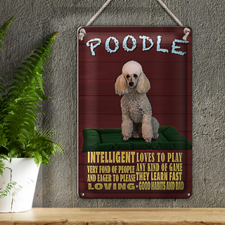 Blechschild Spruch 20x30cm Hund Poodle loves to play