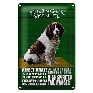 Blechschild Spruch 20x30cm Springer Spaniel Hund friendly