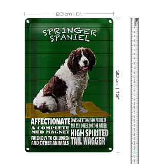 Blechschild Spruch 20x30cm Springer Spaniel Hund friendly