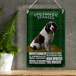 Blechschild Spruch 20x30cm Springer Spaniel Hund friendly