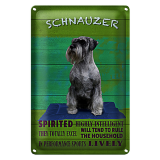 Blechschild Spruch 20x30cm Schnauzer Hund highly inelligent