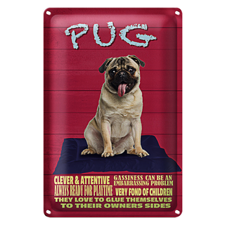 Blechschild Spruch 20x30cm Pug Hund clever attentive