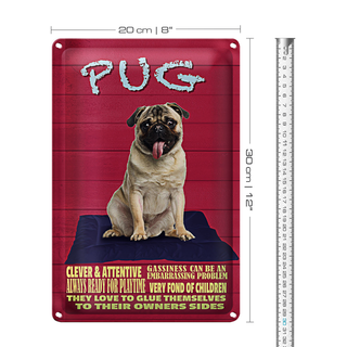 Blechschild Spruch 20x30cm Pug Hund clever attentive