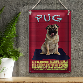 Blechschild Spruch 20x30cm Pug Hund clever attentive