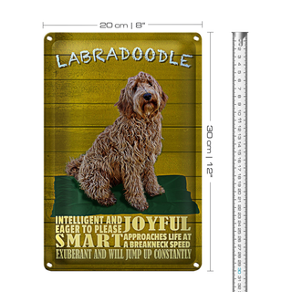 Blechschild Spruch 20x30cm Labradoodle Hund will jump up