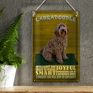 Blechschild Spruch 20x30cm Labradoodle Hund will jump up