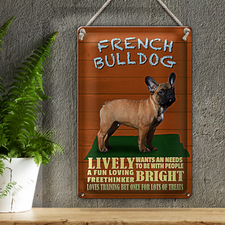Blechschild Spruch 20x30cm French Bulldog Hund lively