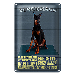 Blechschild Spruch 20x30cm Dobermann Hund fast learn and