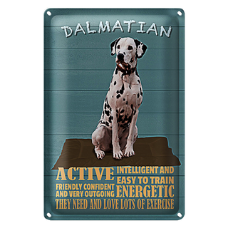 Blechschild Spruch 20x30cm Dalmatian Hund active and easy