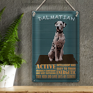Blechschild Spruch 20x30cm Dalmatian Hund active and easy