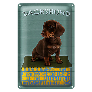 Blechschild Spruch 20x30cm Dachshund Hund lively devoted