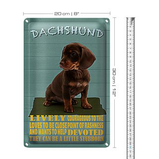 Blechschild Spruch 20x30cm Dachshund Hund lively devoted