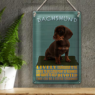 Blechschild Spruch 20x30cm Dachshund Hund lively devoted
