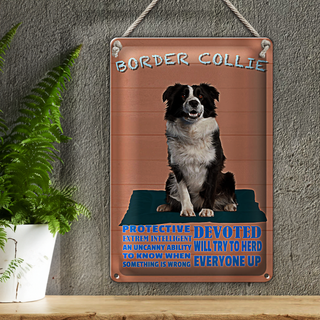 Blechschild Spruch 20x30cm Border Collie Hund protective