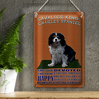Blechschild Spruch 20x30cm Cavalier King Charles Spaniel