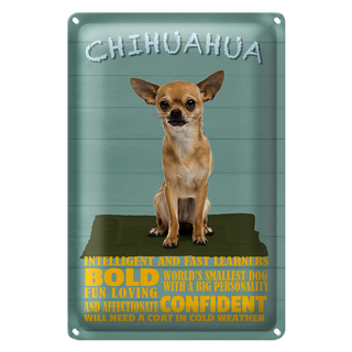 Blechschild Spruch 20x30cm Chihuahua Hund bold confident