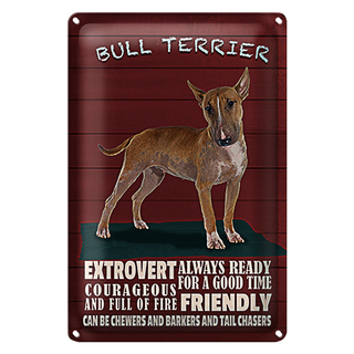 Blechschild Spruch 20x30cm Bullterrier Hund always ready