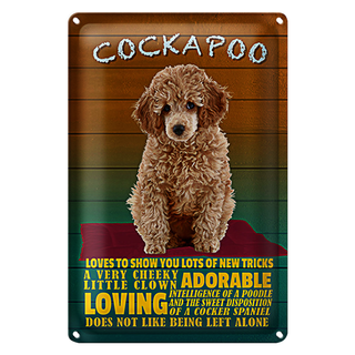 Blechschild Spruch 20x30cm Cockapoo Hund loves to show you
