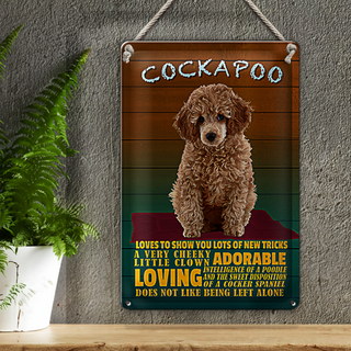 Blechschild Spruch 20x30cm Cockapoo Hund loves to show you