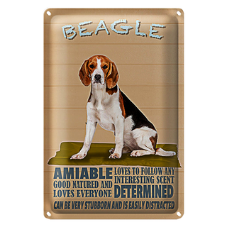 Blechschild Spruch 20x30cm Beagle Hund loves to follow any
