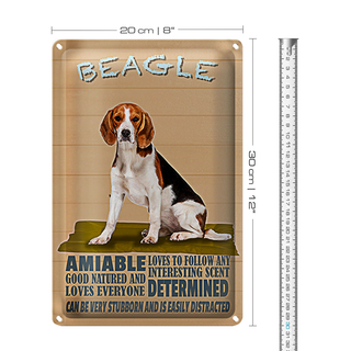 Blechschild Spruch 20x30cm Beagle Hund loves to follow any