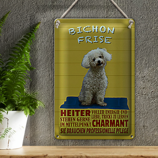 Blechschild Spruch 20x30cm Hund Bichon Frise charmant