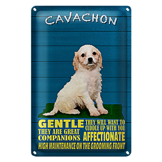 Blechschild Spruch 20x30cm Cavachon Hund gentle affectionat