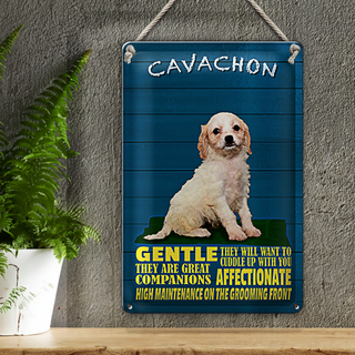 Blechschild Spruch 20x30cm Cavachon Hund gentle affectionat