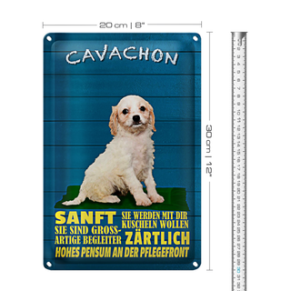 Blechschild Spruch 20x30cm Cavachon Hund sanft zärtlich