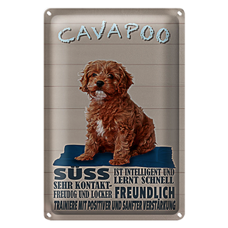 Blechschild Spruch 20x30cm Cavapoo Hund süss freundlich