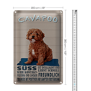 Blechschild Spruch 20x30cm Cavapoo Hund süss freundlich