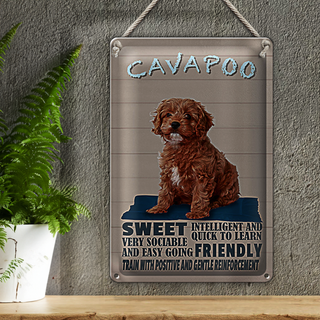 Blechschild Spruch 20x30cm Cavapoo Hund sweet friendly