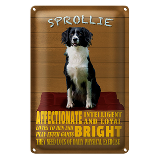 Blechschild Spruch 20x30cm Sprollie Hund intelligent loyal