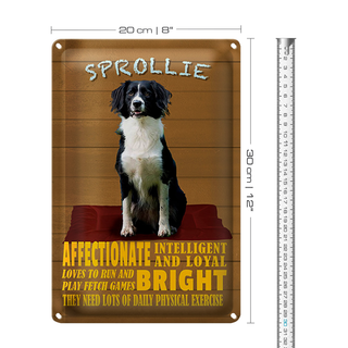 Blechschild Spruch 20x30cm Sprollie Hund intelligent loyal